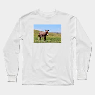 Donkey Photo Long Sleeve T-Shirt